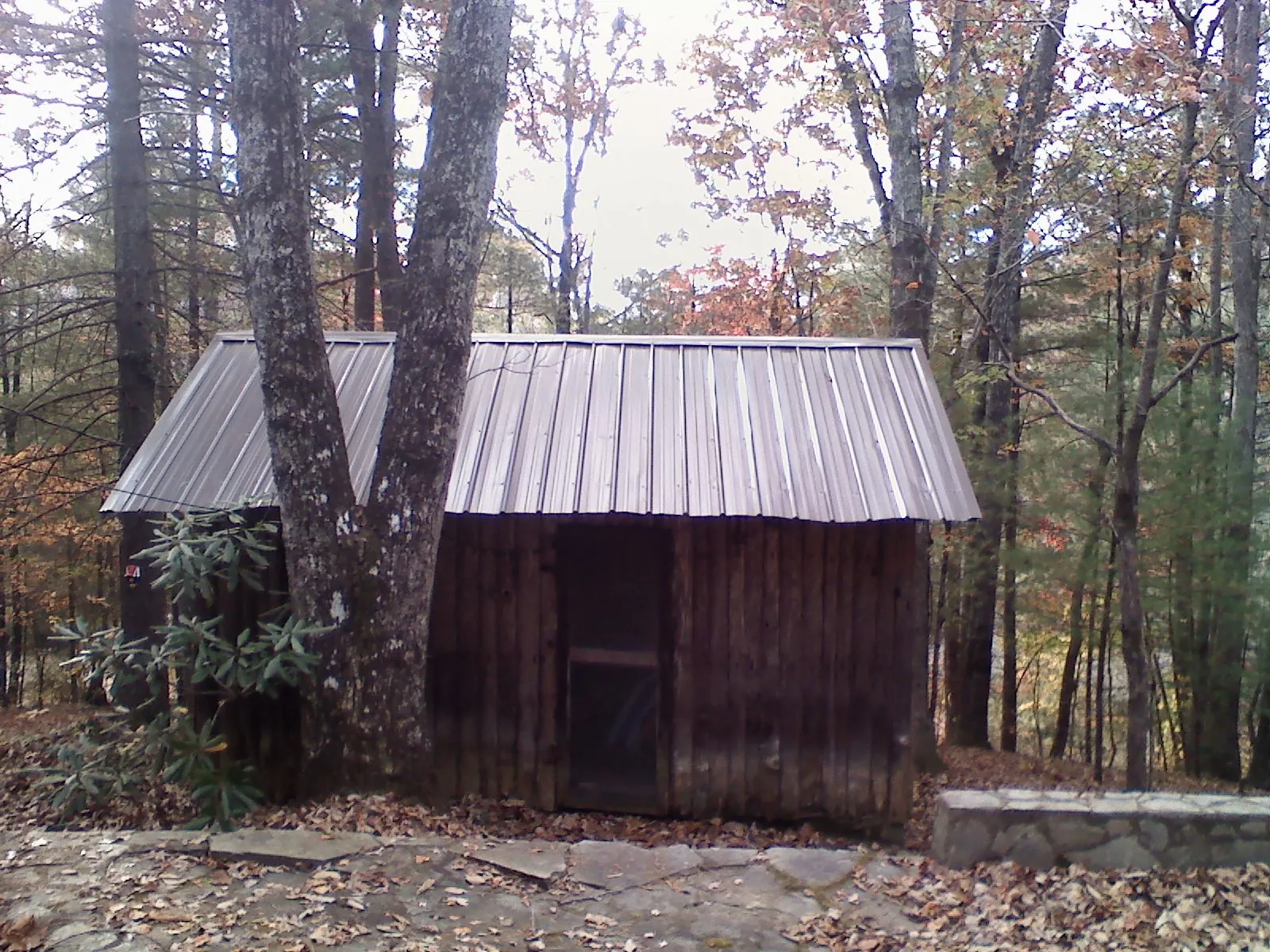 New metal gable roof on a small log shed among the trees in Stony Point